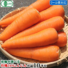 楽天市場 にんじん 人気ランキング1位 売れ筋商品 楽天市場 にんじん 人気ランキング1位 売れ筋商品